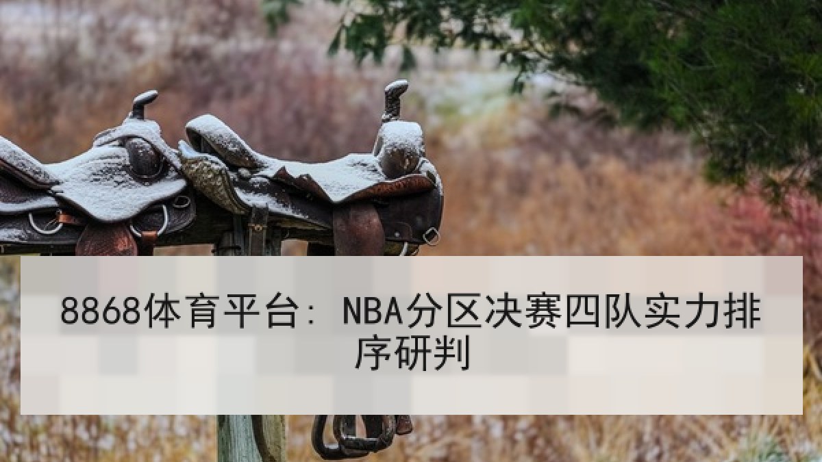 8868体育平台: NBA分区决赛四队实力排序研判