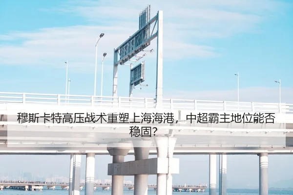 穆斯卡特高压战术重塑上海海港，中超霸主地位能否稳固？